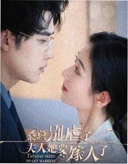 东宫小说下册结局解析封面